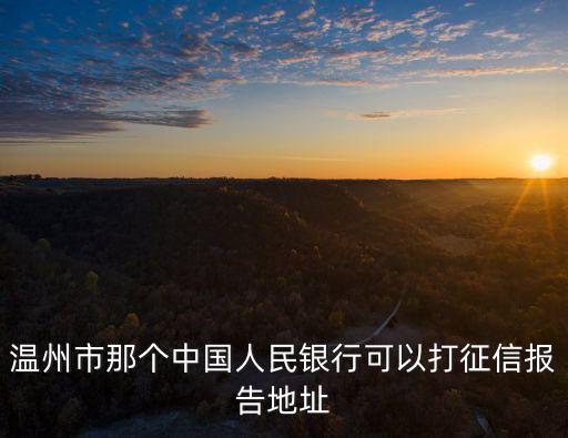 信用溫州，信用報(bào)告可以再網(wǎng)上查詢碼在溫州除了人民銀行還有其他地方可以