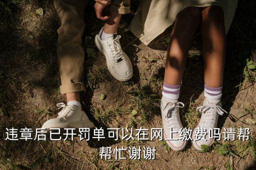 罰單怎么網上繳費，違停罰單怎么網上繳費