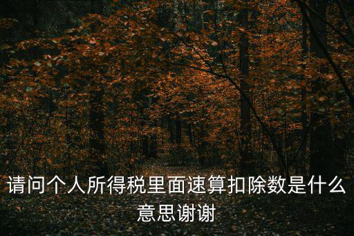 請問個人所得稅里面速算扣除數是什么意思謝謝