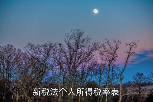 新稅法個(gè)人所得稅率表