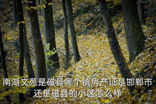 南湖文苑是磁縣哪個鎮房產證是邯鄲市還是磁縣的小區怎么樣