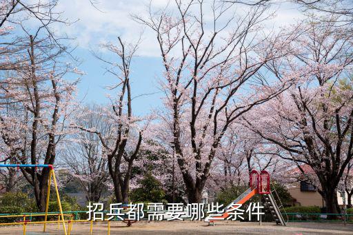招兵都需要哪些條件