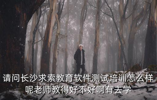請問長沙求索教育軟件測試培訓怎么樣呢老師教得好不好啊有去學