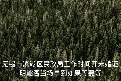 無錫市民政局，無錫市濱湖區民政局工作時間開未婚證明能否當場拿到如果等要等