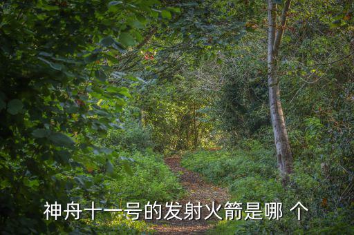 神舟十一號的發(fā)射火箭是哪 個