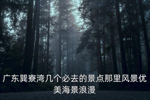 廣東巽寮灣，巽寮灣在廣轢省那個市