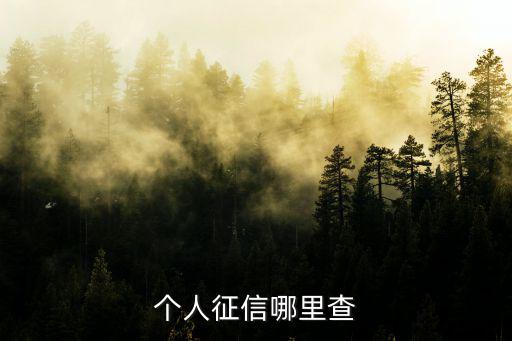 征信哪里可以查，個人征信哪里查