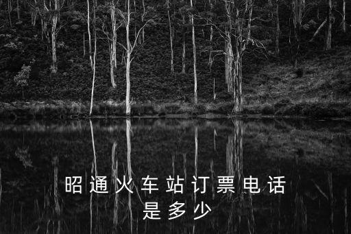 昭 通 火 車 站 訂 票 電 話 是 多 少