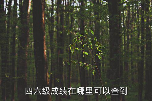 四六級成績在哪里可以查到