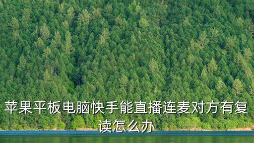 蘋果平板電腦快手能直播連麥對方有復讀怎么辦