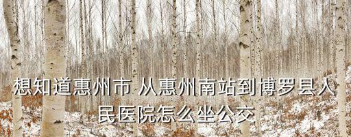想知道惠州市 從惠州南站到博羅縣人民醫院怎么坐公交