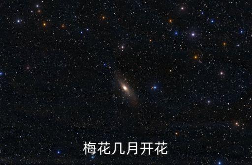 梅花幾月開花