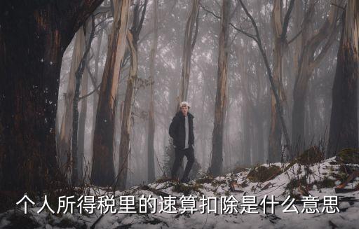 個稅速算，個人所得稅里的速算扣除是什么意思