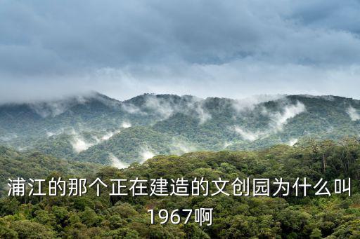 浦江的那個正在建造的文創園為什么叫1967啊