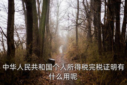 中華人民共和國個人所得稅完稅證明有什么用呢