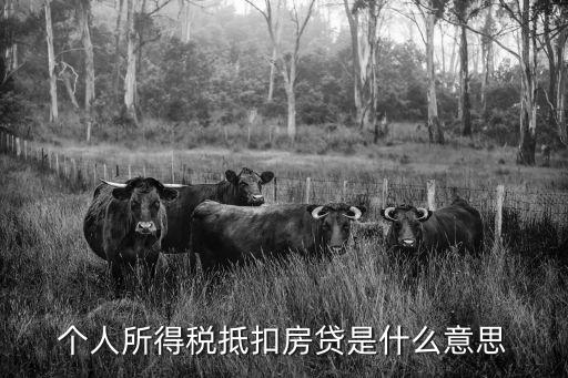 個人所得稅抵扣房貸是什么意思