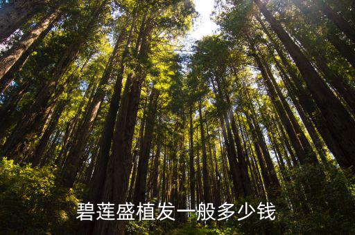 碧蓮盛植發(fā)一般多少錢
