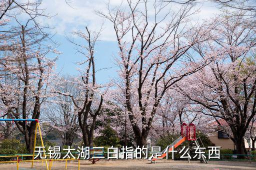 無錫太湖三白指的是什么東西