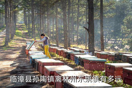 臨漳縣孫陶鎮離林州東姚鎮有多遠