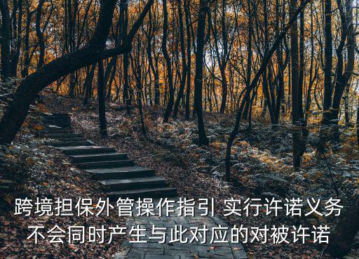 操作指引，跨境擔保外管操作指引 實行許諾義務不會同時產生與此對應的對被許諾