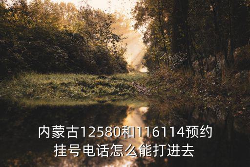 內蒙古12580和116114預約掛號電話怎么能打進去