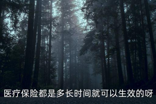 醫(yī)療保險(xiǎn)都是多長時(shí)間就可以生效的呀