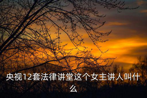 央視12，央視十二頻道有幾個(gè)女主持