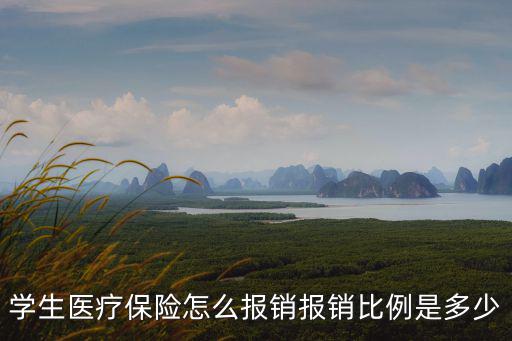學生醫療保險怎么報銷報銷比例是多少