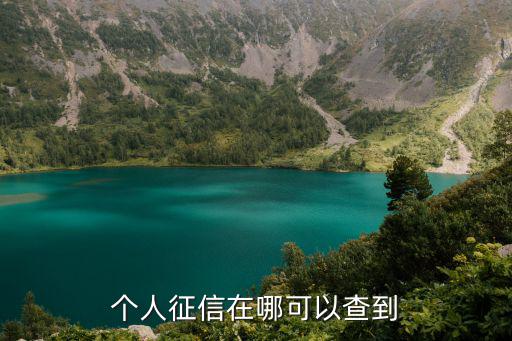 個人征信在哪可以查到