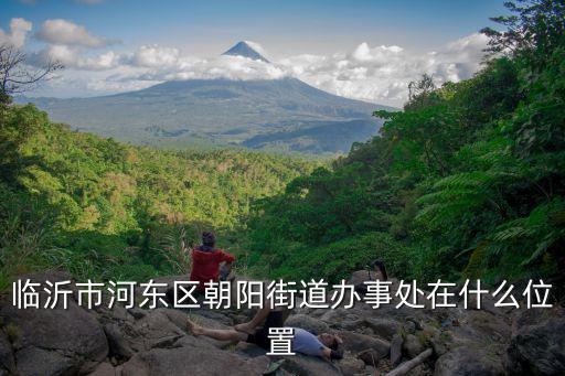 臨沂市河東區朝陽街道辦事處在什么位置
