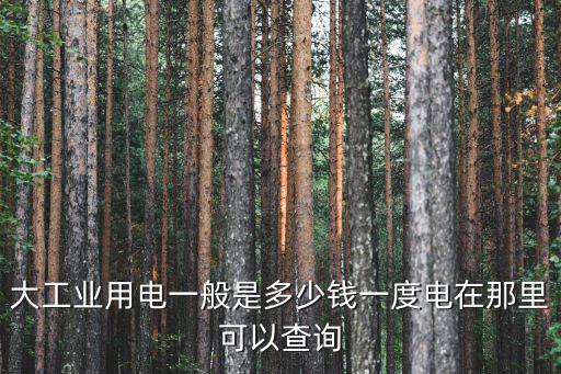 大工業電價，大工業里用的是商業用電電費怎樣算出來