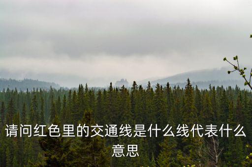 請問紅色里的交通線是什么線代表什么意思