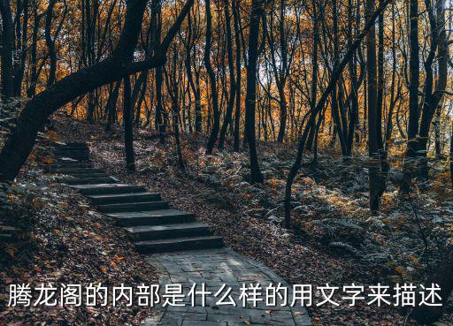 騰龍閣的內部是什么樣的用文字來描述
