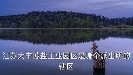 工業園區派出所，臨泉工業園區派出所電話多少