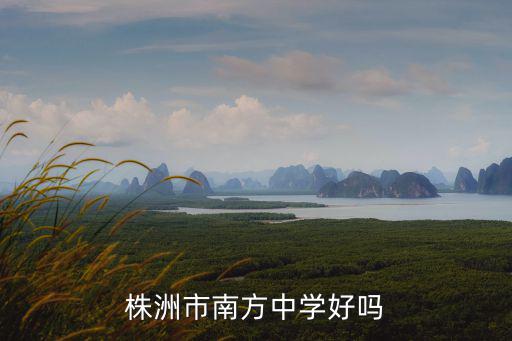 株洲南方中學(xué)，株洲市南方中學(xué)好嗎