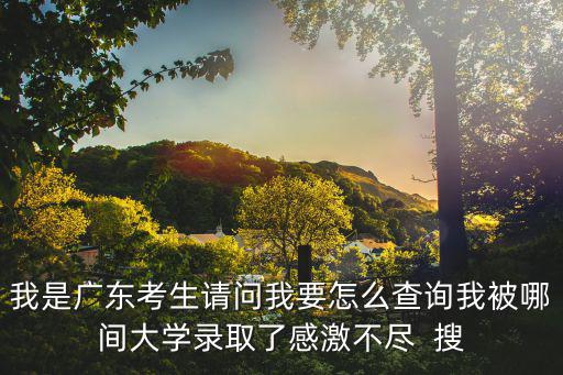 我是廣東考生請問我要怎么查詢我被哪間大學錄取了感激不盡  搜