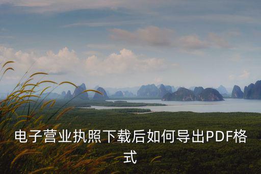 電子營業(yè)執(zhí)照下載后如何導(dǎo)出PDF格式