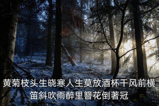 黃菊枝頭生曉寒人生莫放酒杯干風前橫笛斜吹雨醉里簪花倒著冠