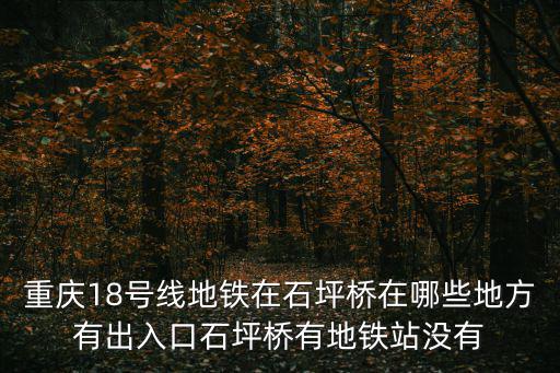重慶18號線地鐵在石坪橋在哪些地方有出入口石坪橋有地鐵站沒有