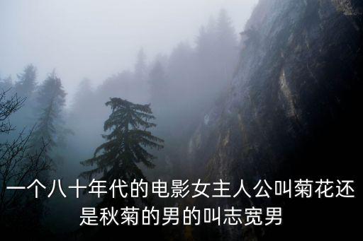 一個八十年代的電影女主人公叫菊花還是秋菊的男的叫志寬男