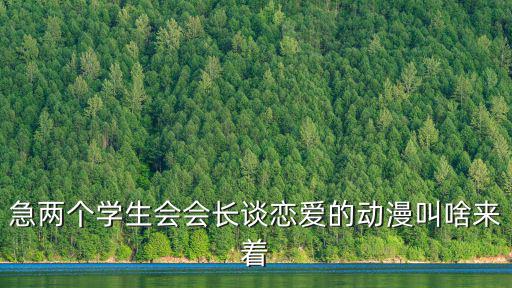 急兩個學生會會長談戀愛的動漫叫啥來著