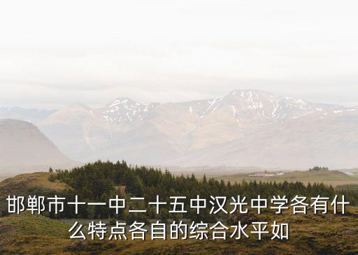 邯鄲市十一中二十五中漢光中學各有什么特點各自的綜合水平如