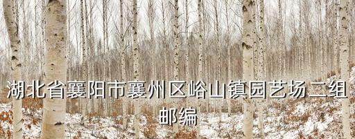 湖北省襄陽市襄州區(qū)峪山鎮(zhèn)園藝場二組郵編