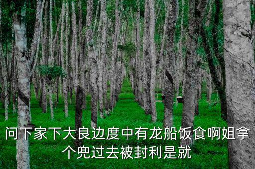 龍船飯，龍船飯是什么
