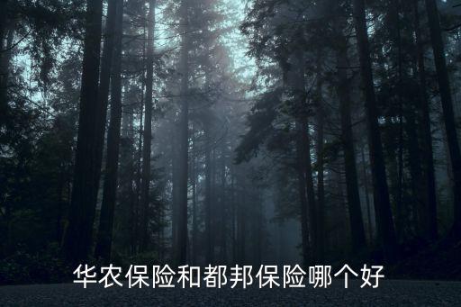 華農保險和都邦保險哪個好