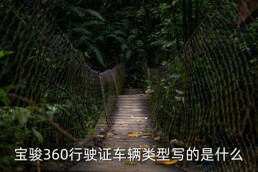 寶駿360行駛證車輛類型寫的是什么