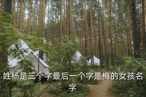 楊思梅，問做生意開業(yè)吉日