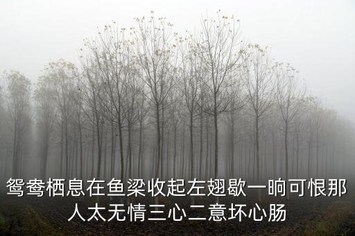 魚梁，文言文 當湍而浚者為魚梁 是什么意思