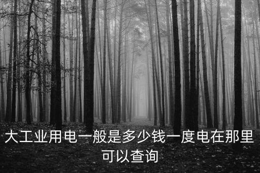 大工業(yè)用電一般是多少錢一度電在那里可以查詢