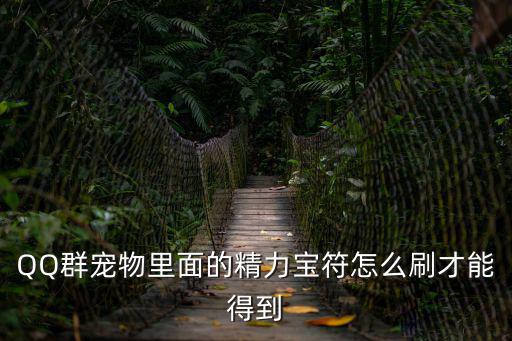 寶符，QQ群寵物里面的精力寶符怎么刷才能得到